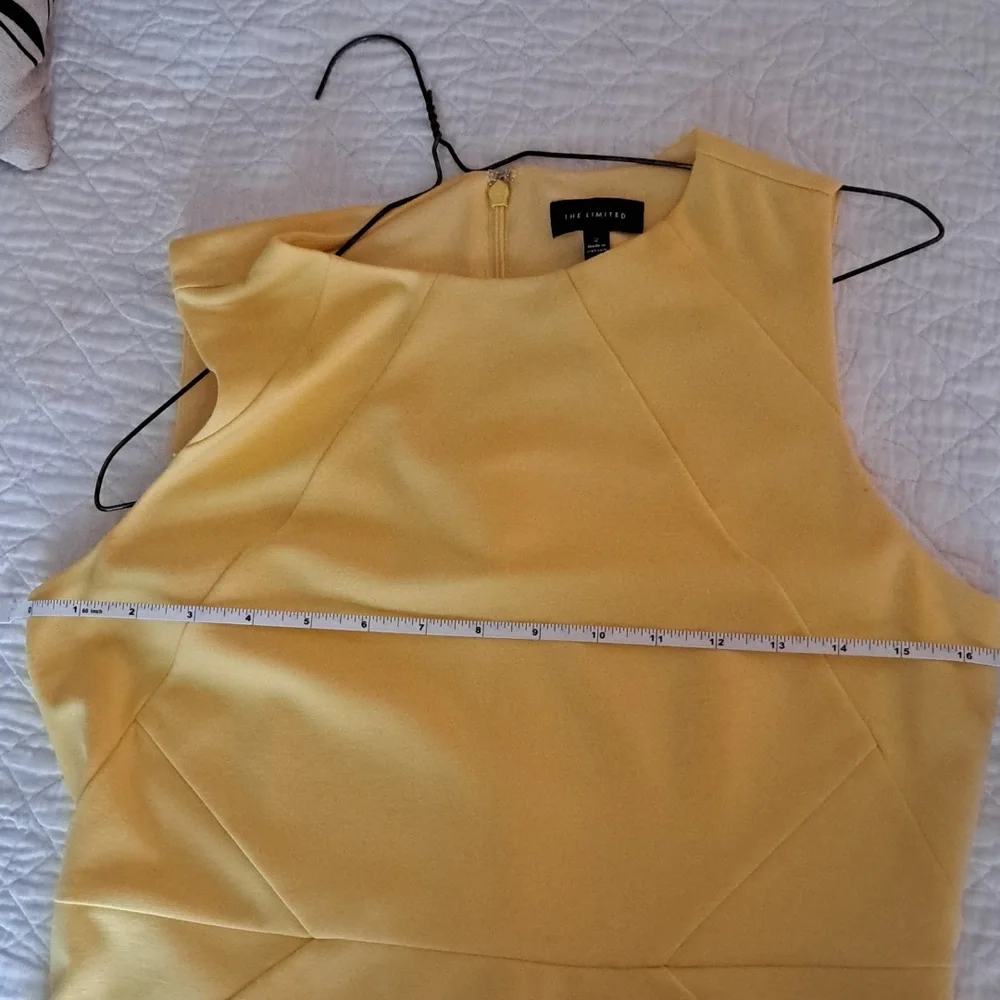 The Limited Dress - Picture 7 of 7